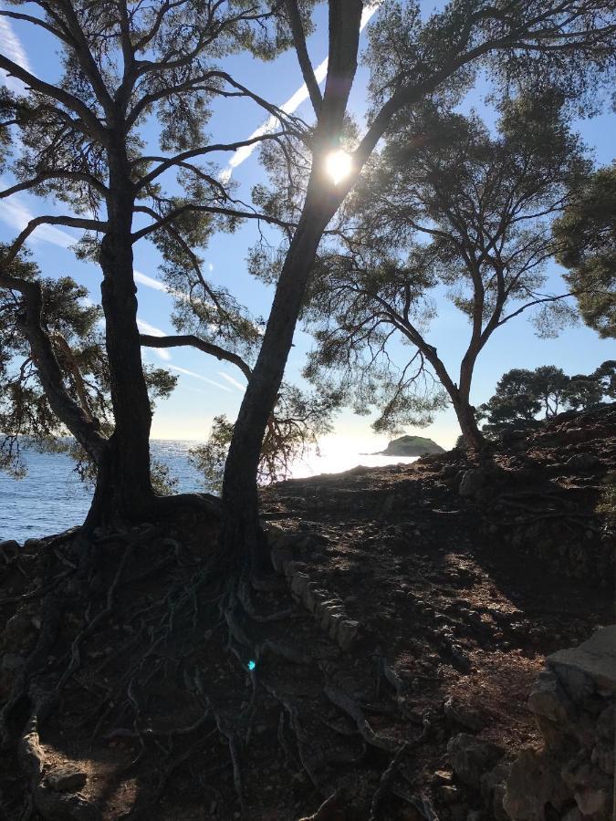 Villa Lucienne Bandol , T2 4 Etoiles Avec Garage, Dans Les Calanques Exterior foto